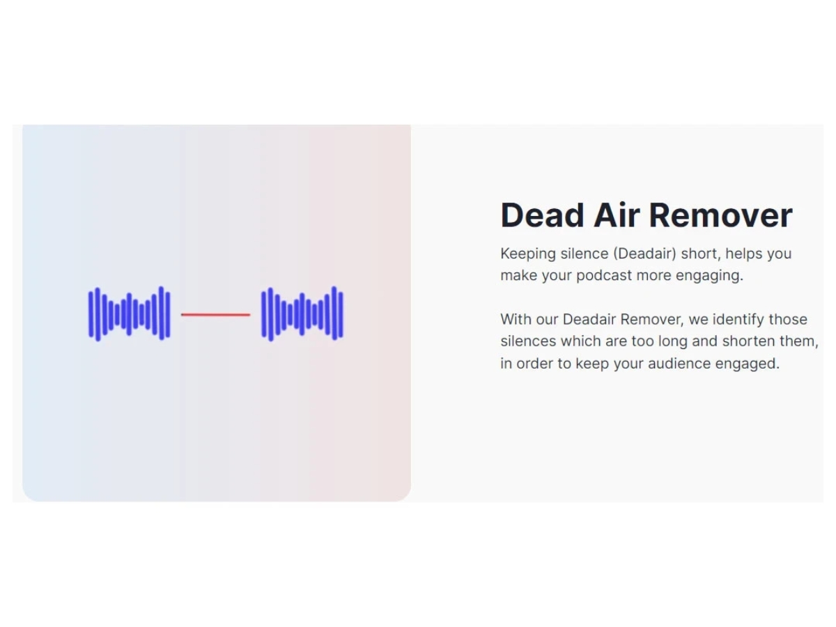 Cleanvoice AI-air remover