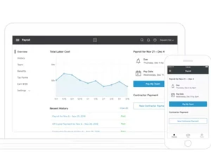 square payroll graphs