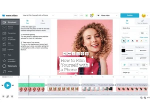 Wave Video video users