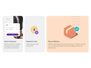 PhonePe Business delivery
