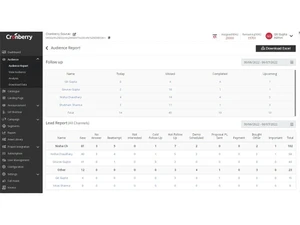 Cronberry CRM report