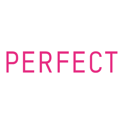youcam perfect logo