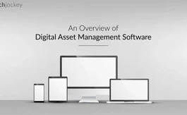 What is Digital Asset Management Software (DAM)?