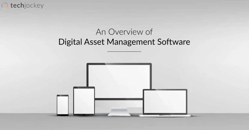 Digital Asset Management Software: What is that and Why you need?