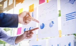 Best Statistical Analysis Software Solution for Business