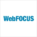 Web Focus Business Intelligence Software