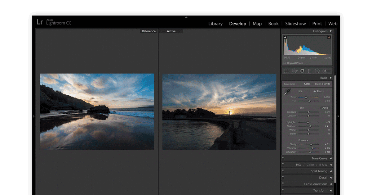 popular photo editor software for PC