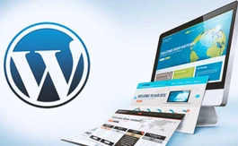 Why Use WordPress for Start-Up Business Website?