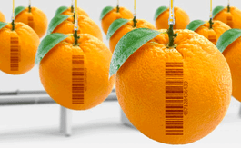 List of 10 Best Barcode Scanner App for Mobile & Desktop