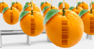 List of 10 Best Barcode Scanner App for Mobile & Desktop List of 10 Best Barcode Scanner App for Mobile & Desktop