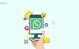 20 Top Free Bulk WhatsApp Sender Software Online in India 2025