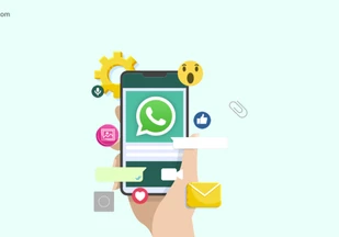 Free Bulk Whatsapp marketing software feature image