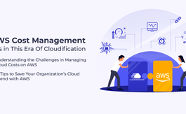 11 Effective Tips for Cloud Cost Management on AWS