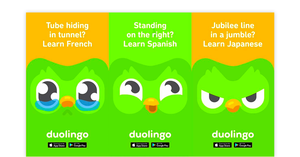 Educational Software for Students - duolingo