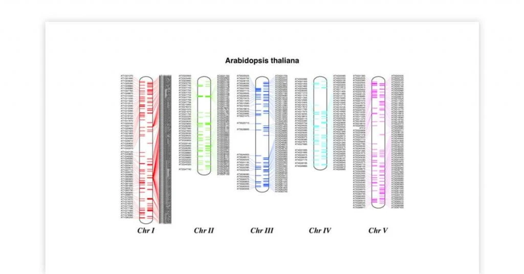 genome sequencing tool