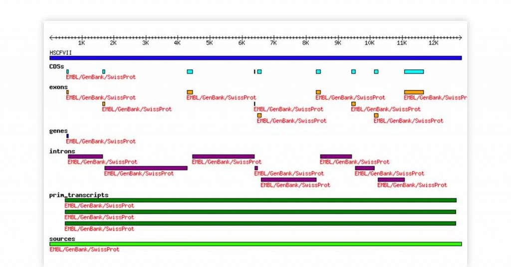 Test genomic | BioPerl