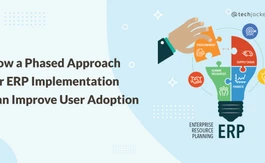 Big Bang Versus Phased ERP Implementation Strategies: Which is Better?
