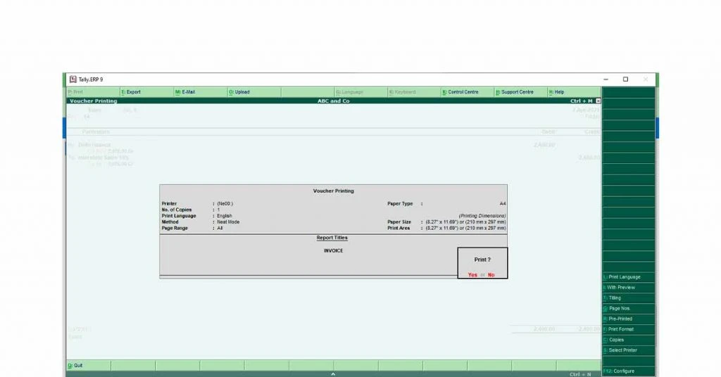 Give the print Command in tally prime