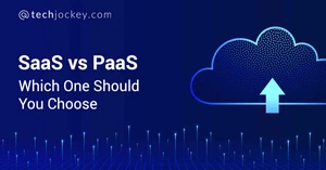 What Differentiates PaaS from SaaS - PaaS Vs SaaS