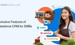 10 Things About Salesforce CRM for Small Businesses That You Would Love