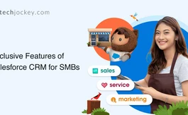 10 Things About Salesforce CRM for Small Businesses That You Would Love