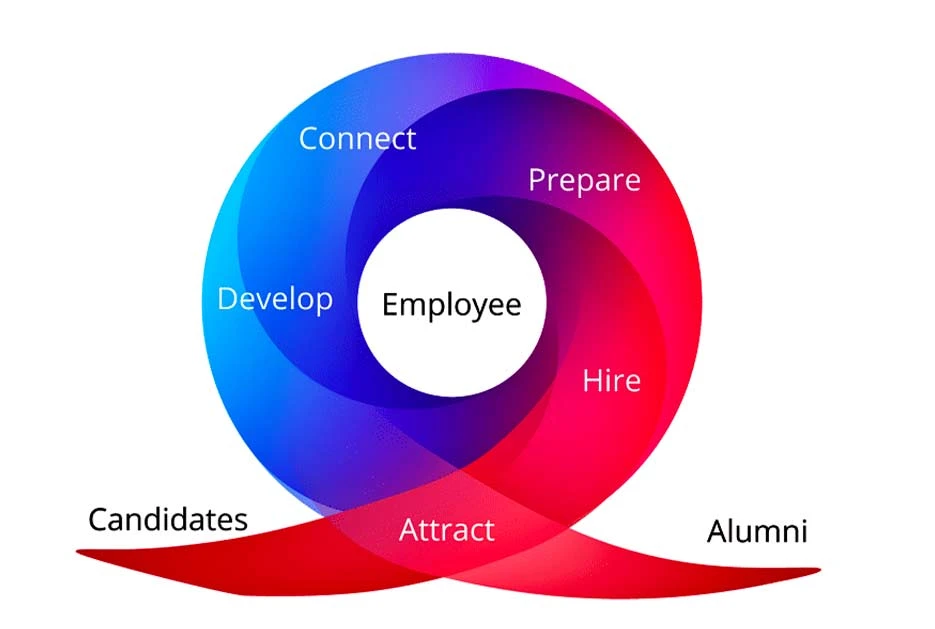 Stages of Employee Lifecycle