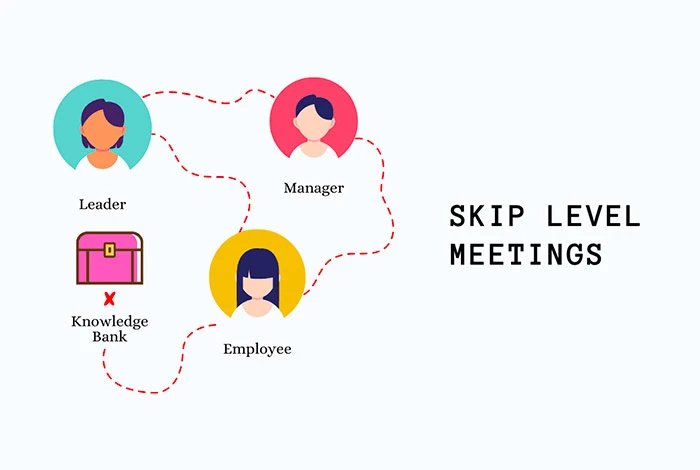 what are skip level meetings