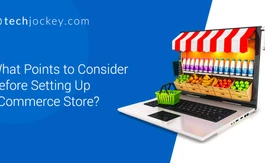 What Points to Consider Before Setting Up eCommerce Store?