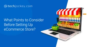What Points to Consider Before Setting Up eCommerce Store?