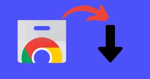 Top 7 Chrome Video Downloaders in 2024 [Both Extensions & Online]