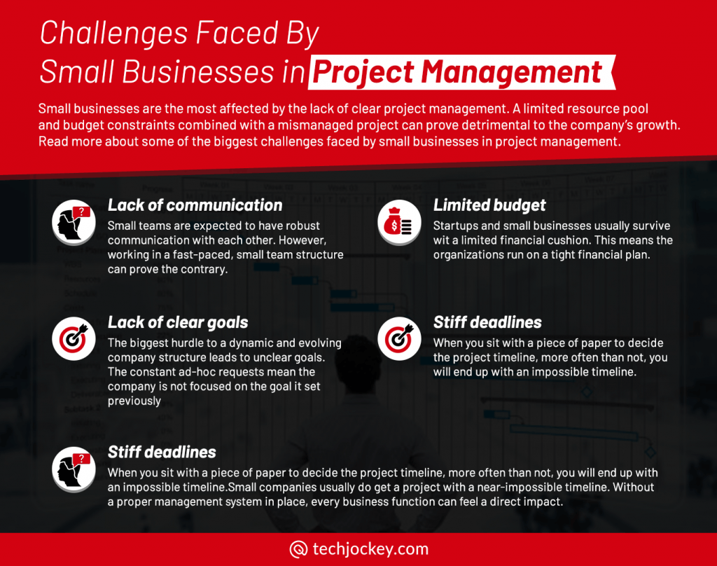 Challenges Faced By Small Businesses in Project Management infographic