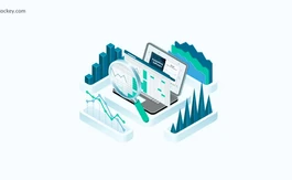 What Is Microsoft Accounting Software: A Detailed Guide