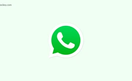 How to Send Bulk Messages on WhatsApp?