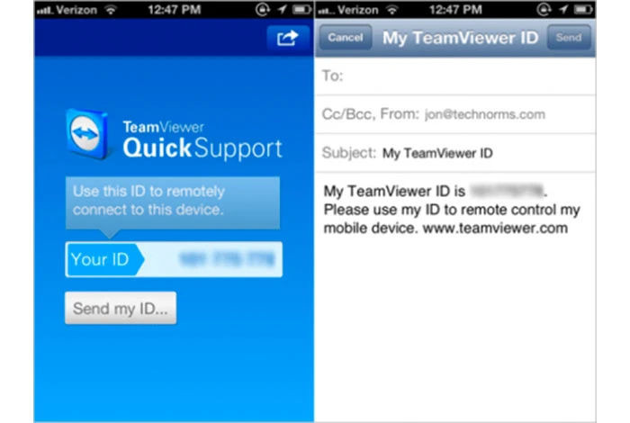 TeamViewer Quick support