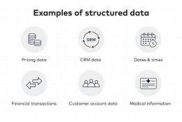 What are the Types of Big Data: Characteristics & Definition