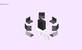 How to Setup a LAN Network Using a Switch?