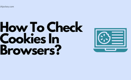 How To Check Cookies In Browsers?