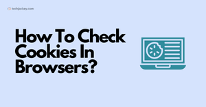 How To Check Cookies In Browsers?