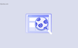 How to Track Cookies on A Website?