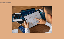 How Investment Portfolio Management Software Simplifies the Financial Journey?