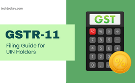 What is GSTR - 11 and How to File It?