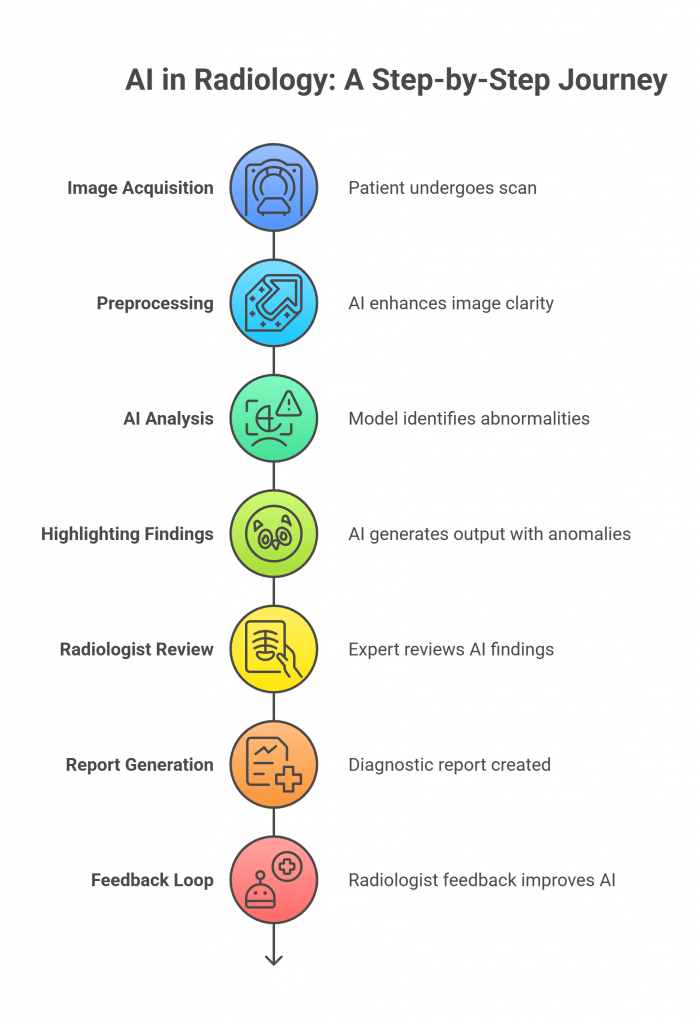 Illustration showing the step-by-step process of using AI in radiology, including stages such as Image Acquisition (patient undergoes scan), Preprocessing (AI enhances image clarity), AI Analysis (model identifies abnormalities), Highlighting Findings (AI generates output with anomalies), Radiologist Review (expert reviews AI findings), Report Generation (diagnostic report created), and Feedback Loop (radiologist feedback improves AI).