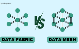 Data Fabric vs Data Mesh: Which One Fits Your Business?