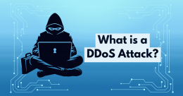 Illustration of a hooded figure with a laptop, signifying a hacker, with digital circuit patterns in the background and large text asking, What is a DDoS Attack?