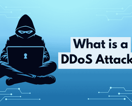 Illustration of a hooded figure with a laptop, signifying a hacker, with digital circuit patterns in the background and large text asking, What is a DDoS Attack?