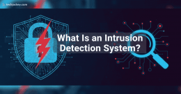 Illustration showing a digital shield and magnifying glass representing an intrusion detection system (IDS) monitoring networks for cyber threats and unauthorized access.
