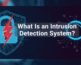Illustration showing a digital shield and magnifying glass representing an intrusion detection system (IDS) monitoring networks for cyber threats and unauthorized access.