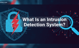 What Is an Intrusion Detection System? Types, Working & Tools