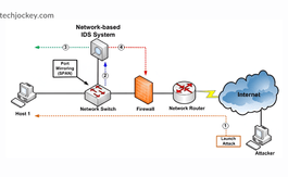 What Is a Network Intrusion Detection System? Types, Tools & NIDS vs HIDS