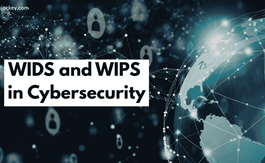 WIDS and WIPS in Cybersecurity: How They Protect Wireless Networks?
